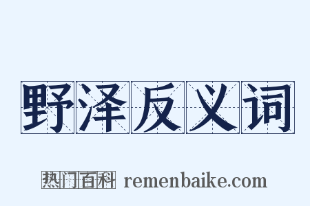 野泽反义词是什么意思的图片
